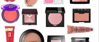 Top 15 best powders for oily skin according to customer reviews